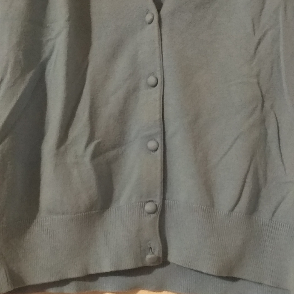 💫 Ann Taylor LOFT Petites - Picture 2 of 6
